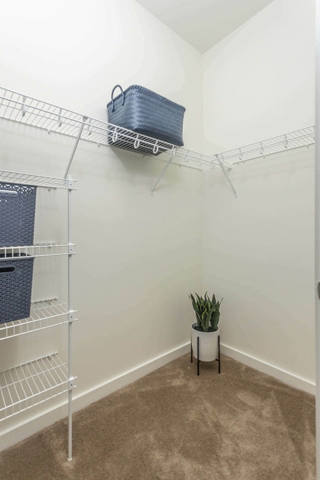 Colony Village Apartments Image 3