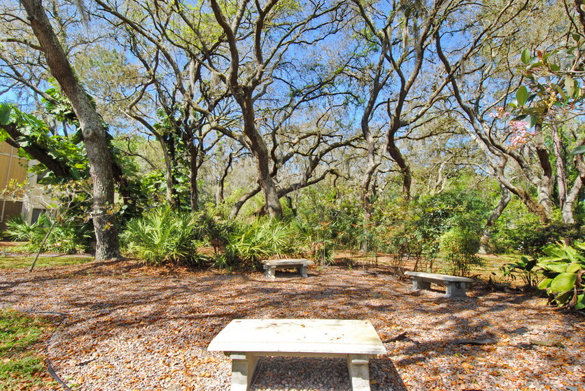 Stone Creek Image 36