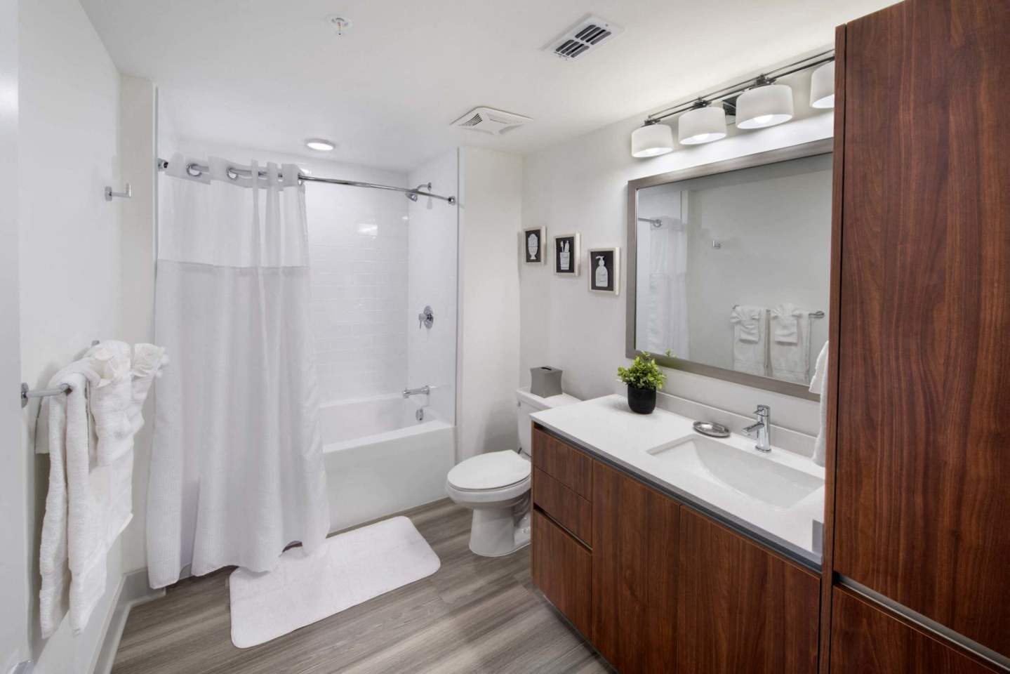 Solena Miramar Image 20
