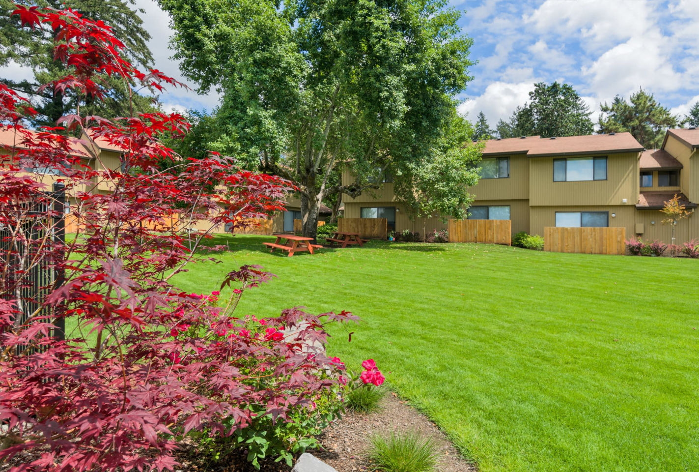 Forest Ridge Image 19
