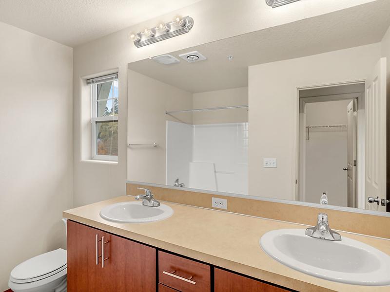 Baseline Woods Image 29