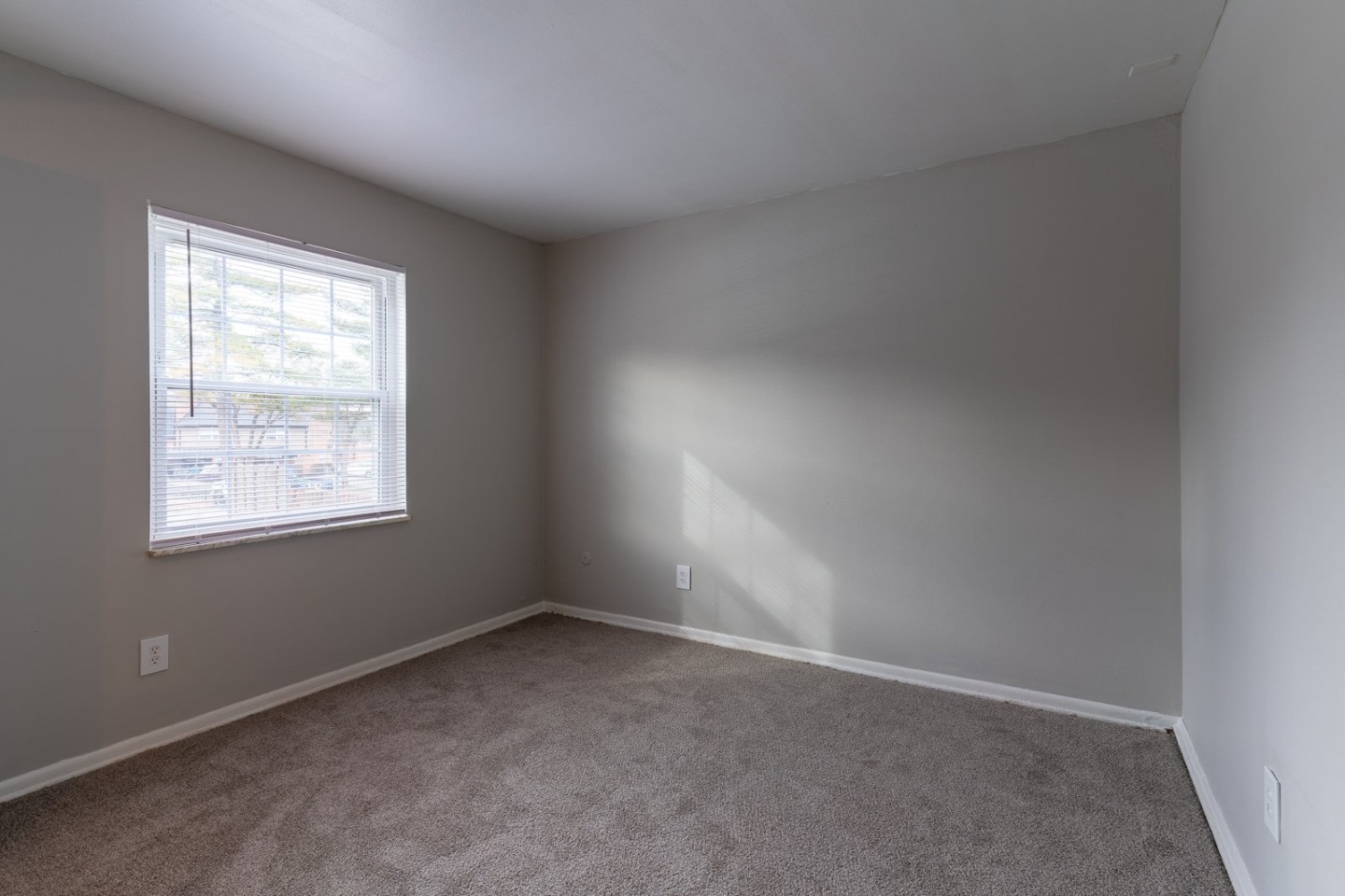 Olde Towne Apartments Image 23