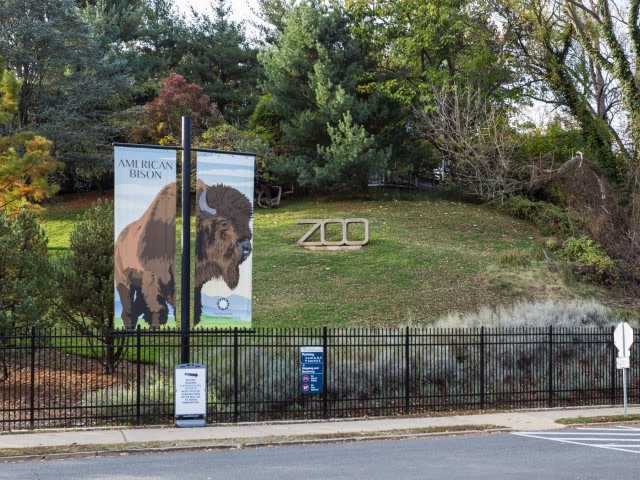 Harvard Village Image 83
