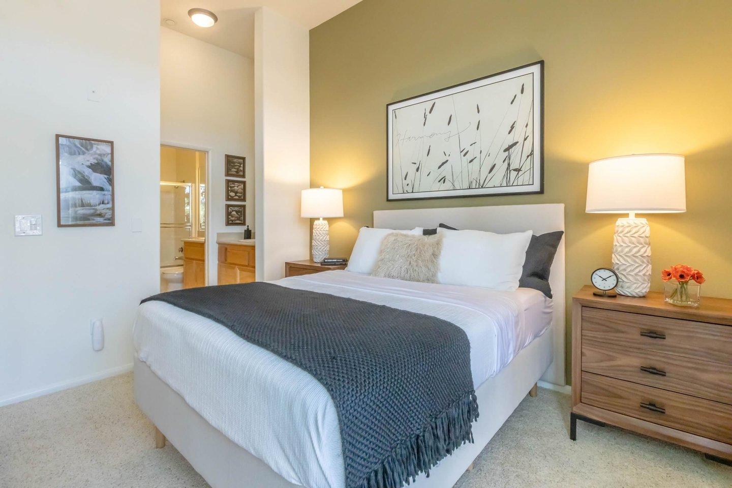 Colony Townhomes Image 102