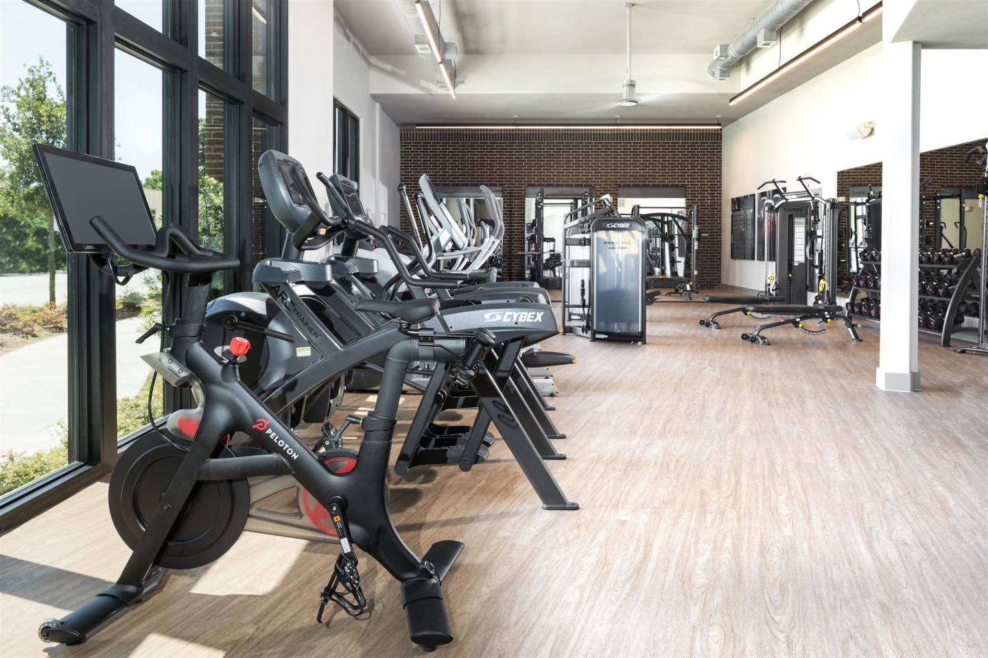 Davis at the Square Image 8