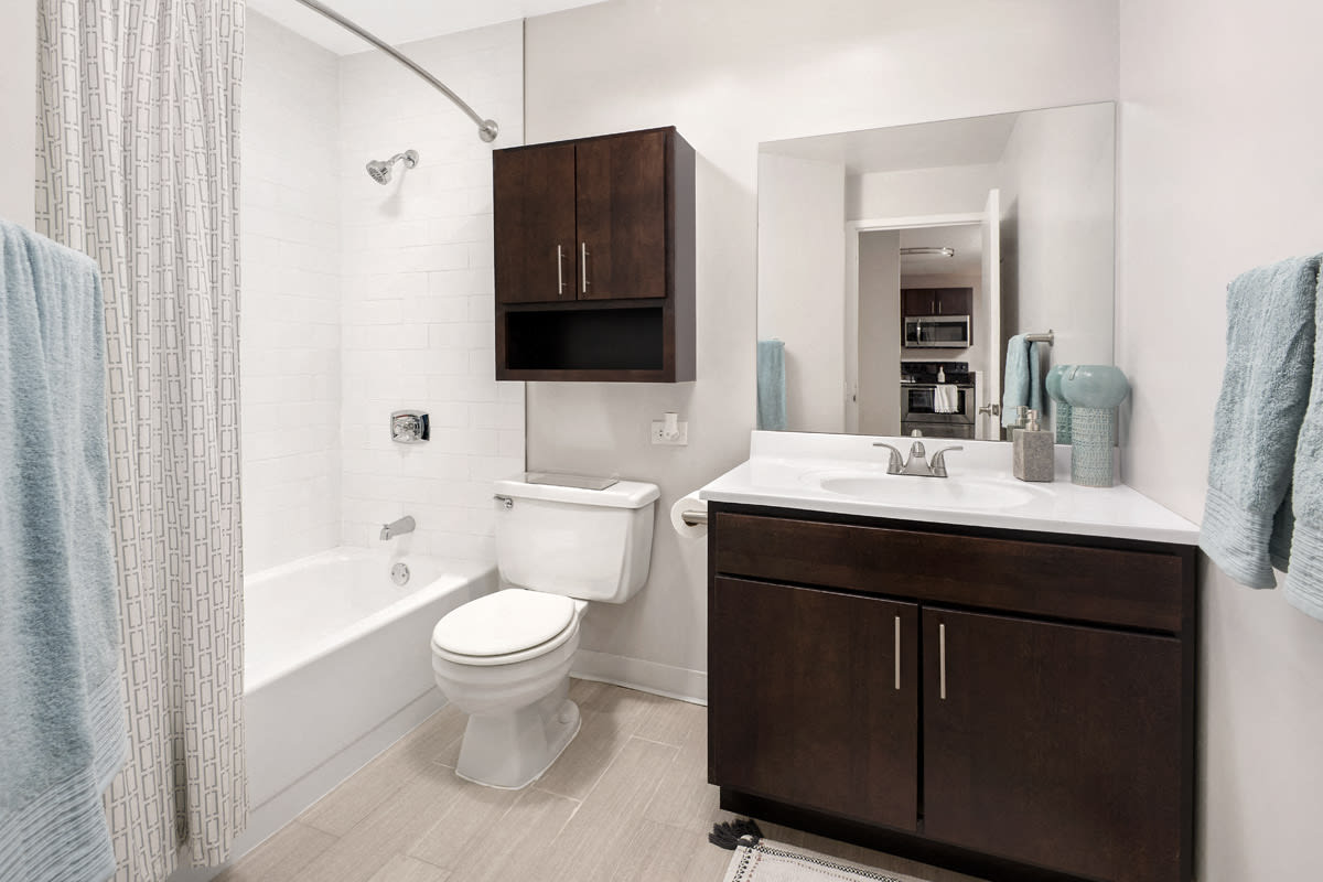 Chestnut Place Image 5