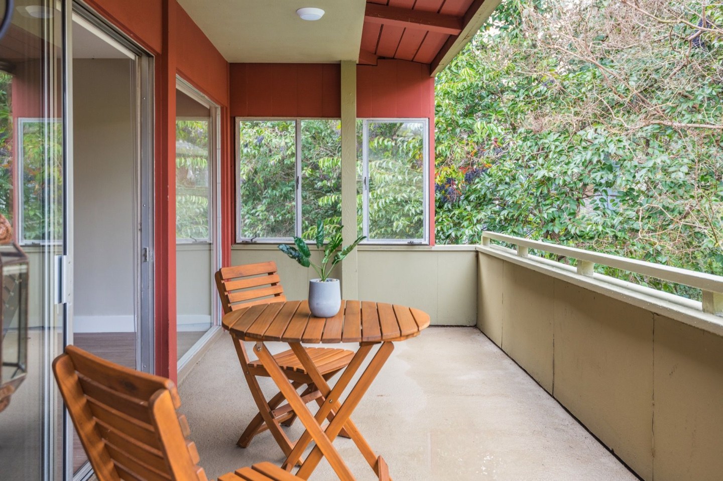 Bay Tree Image 11