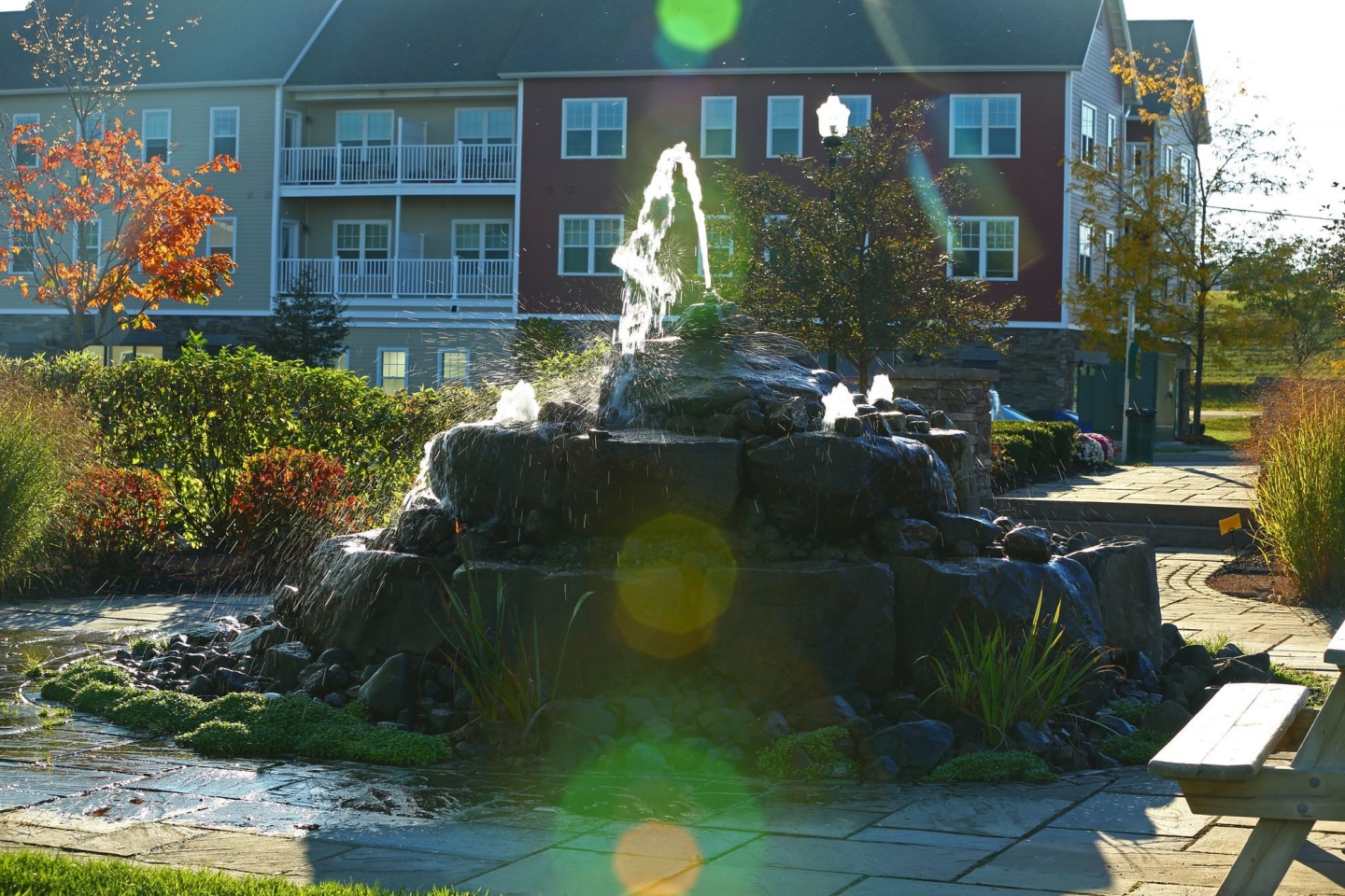 The Springs Image 25