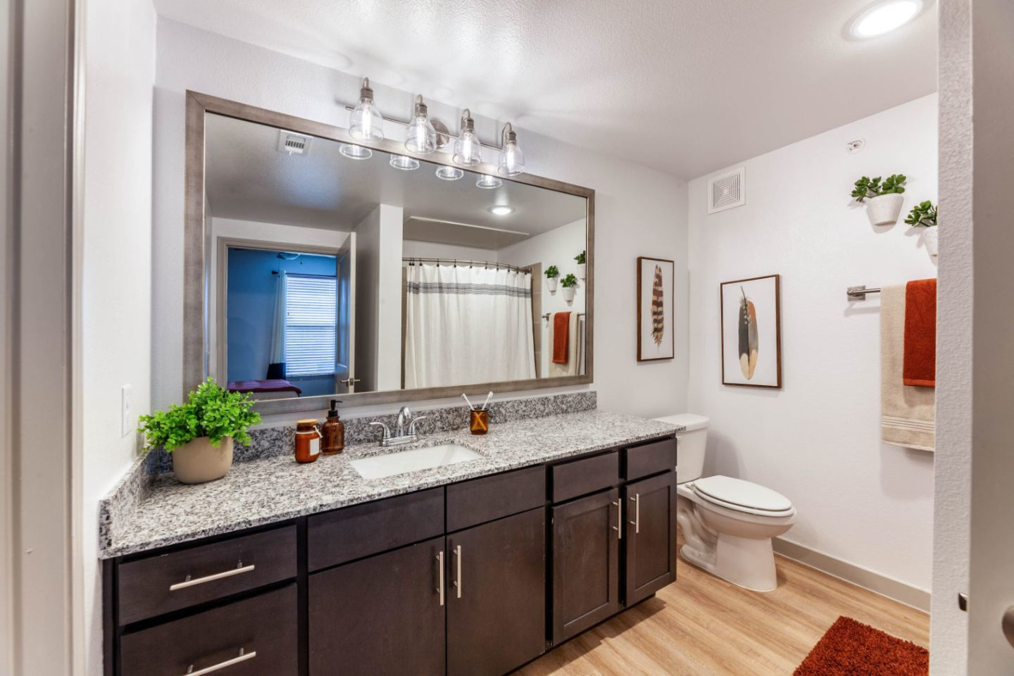 Luxia Grand Prairie Image 10