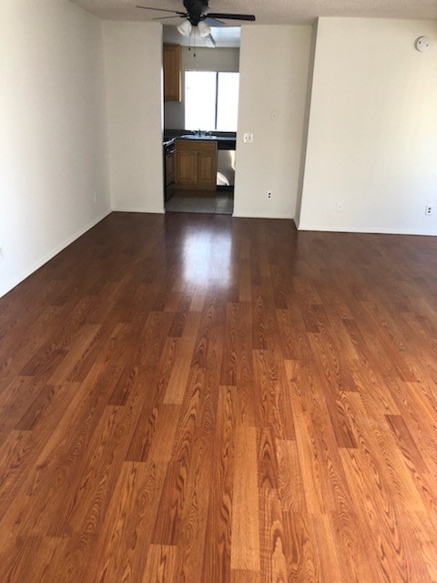 1131 E Wilson Image 7