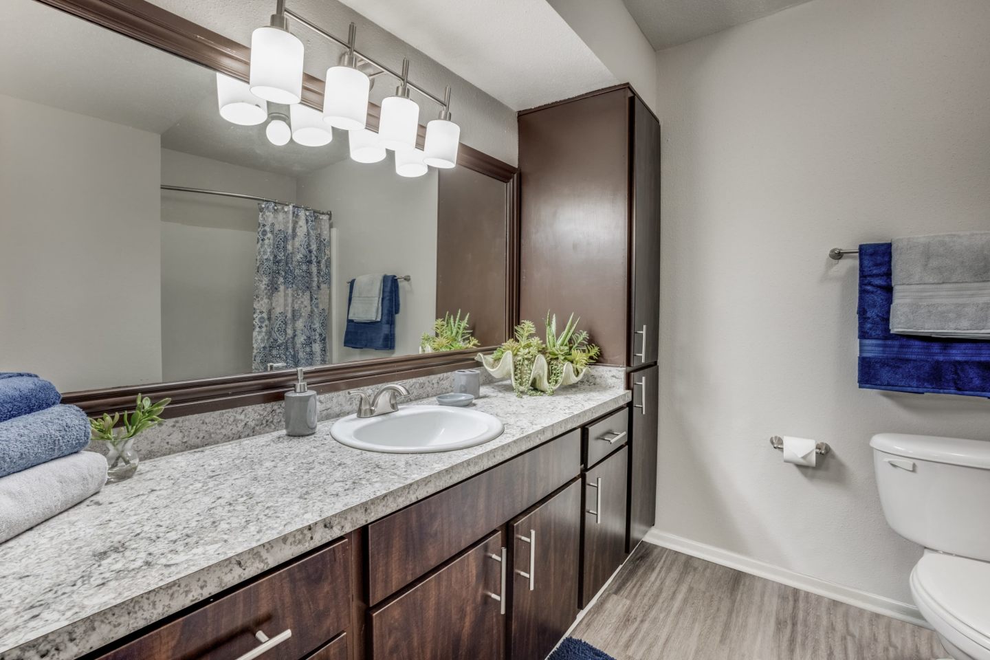 The Chelsea at Bellevue Image 18