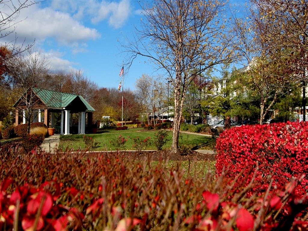Senior Housing - Kentlands Manor Senior Apartments Image 2