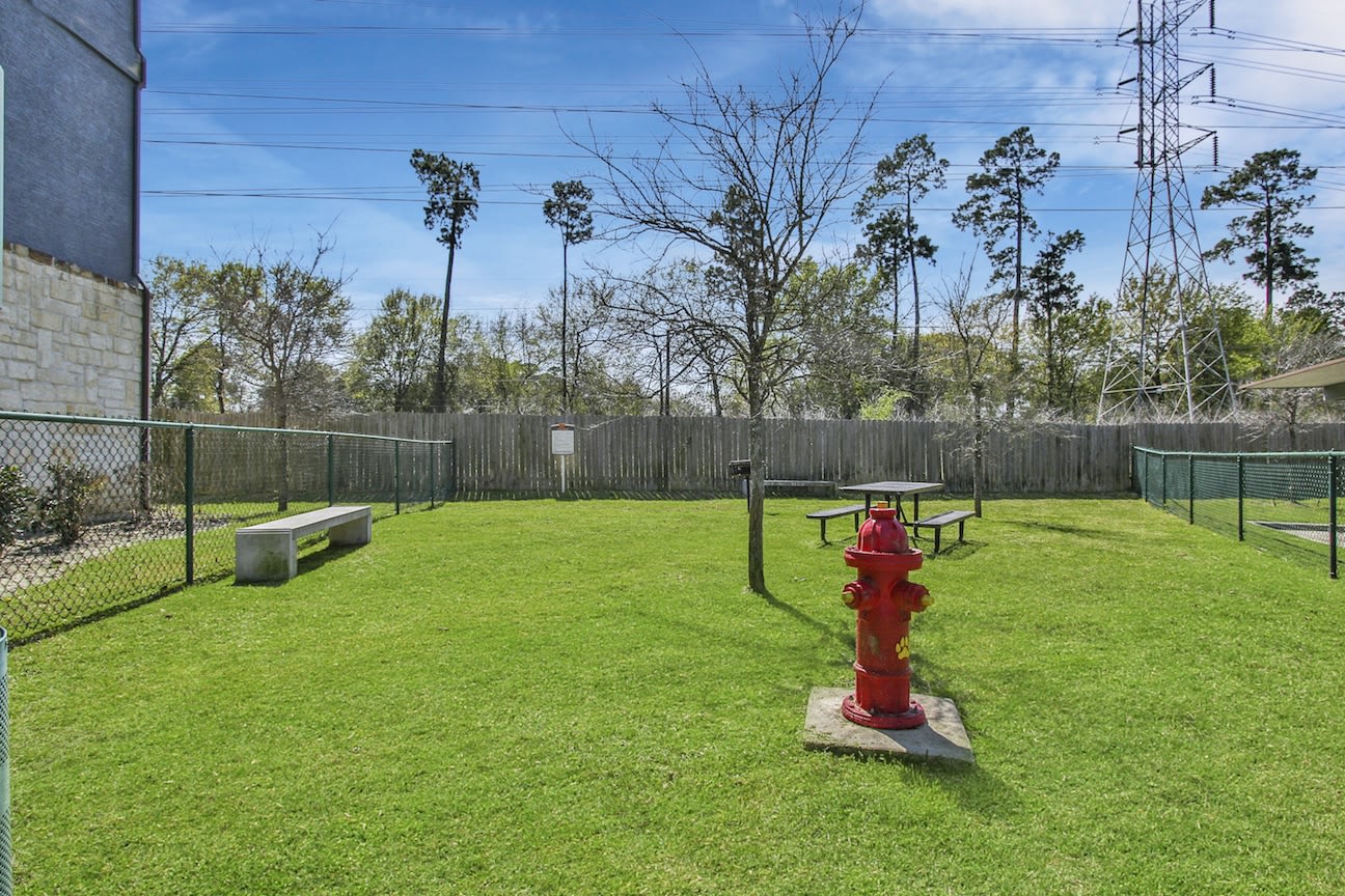 Hollow Tree Park Image 7