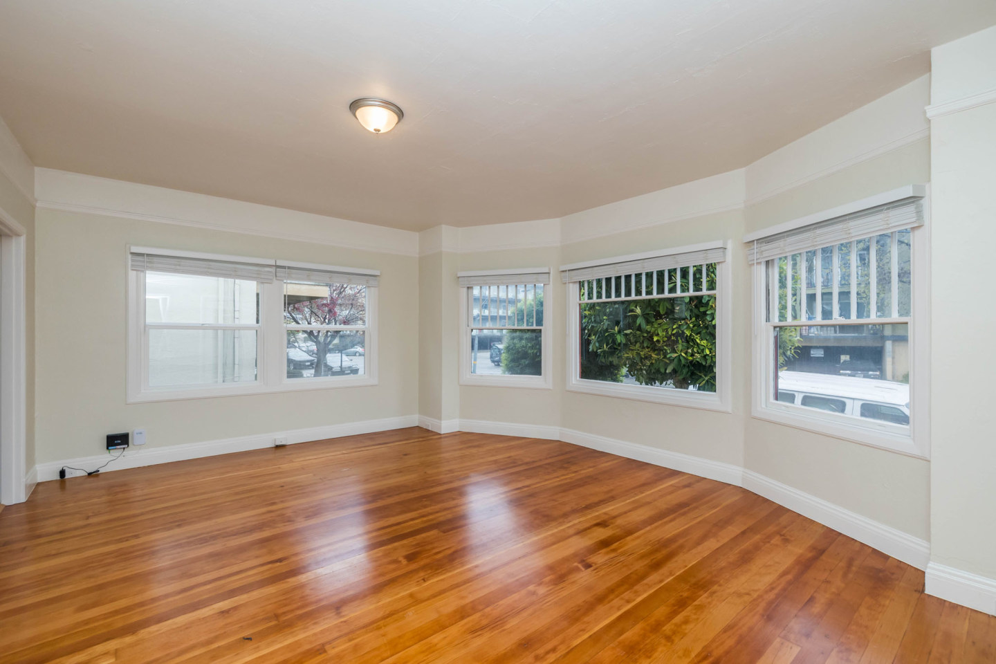 226 Athol Avenue Image 3