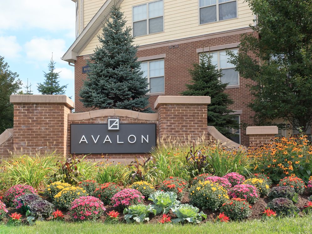 Avalon at Chestnut Hill Image 8