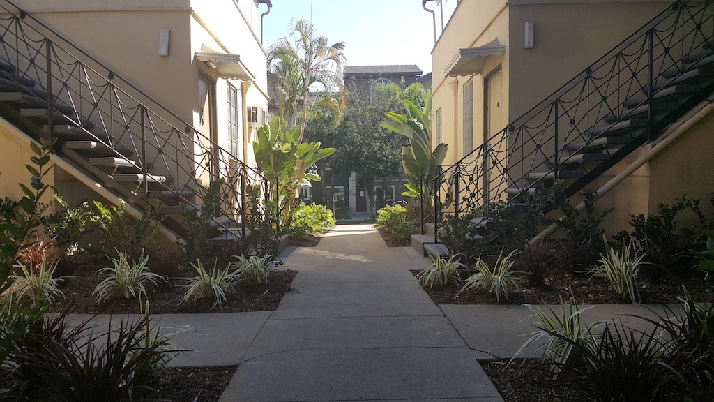 South Olive Image 13