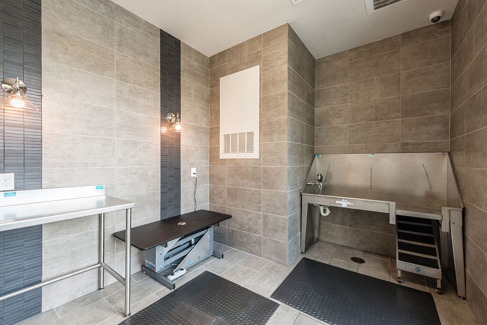 Cortland Luxe Shadow Creek Image 30