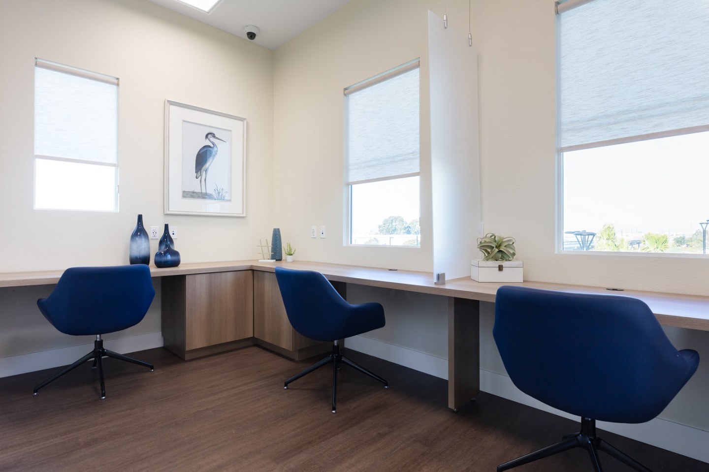 Senior Housing- Palmia, Age 55+ Luxury Apartments Image 40