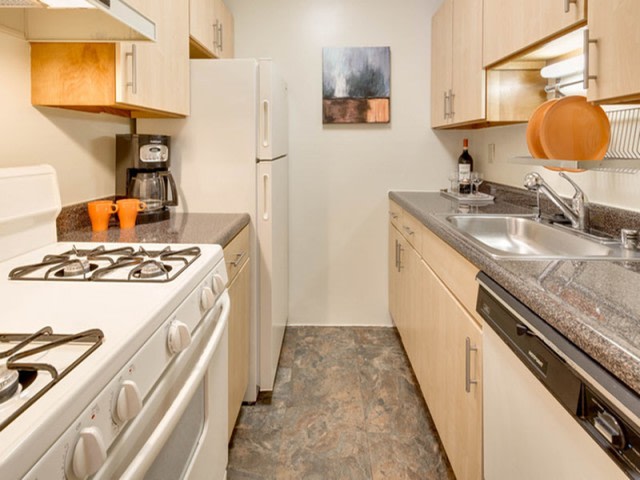Azalea Apartments Image 8