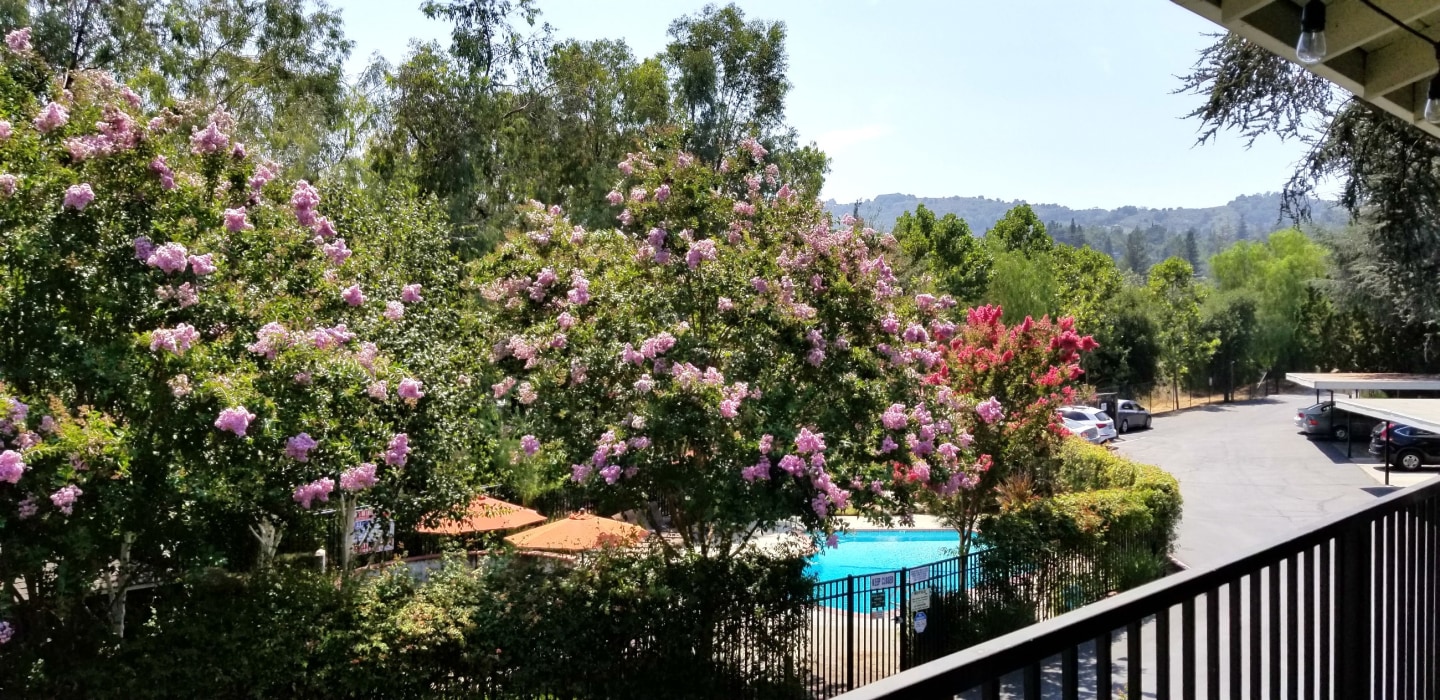 Los Gatos Heights Image 1