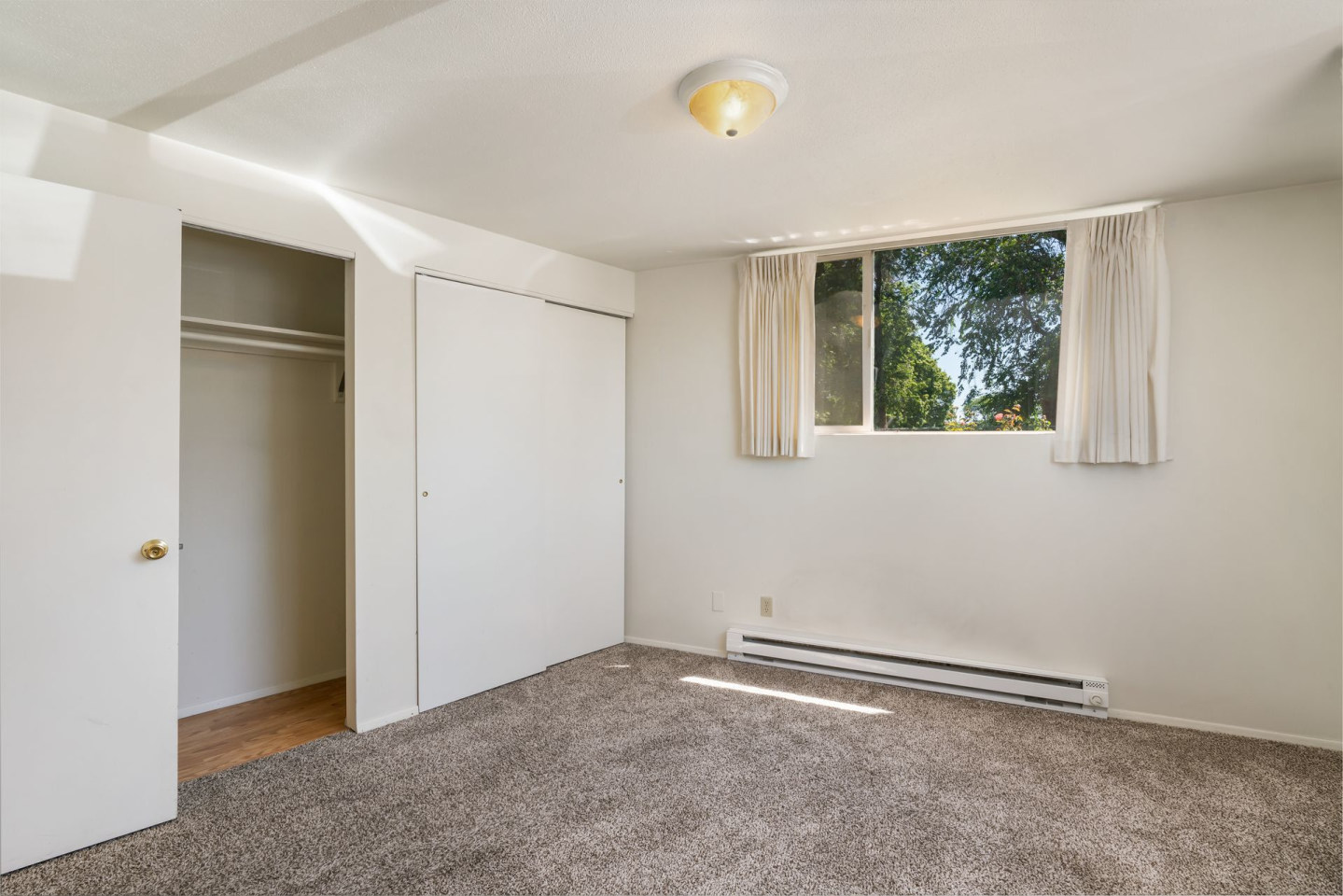 Dolphin Apartments Image 6