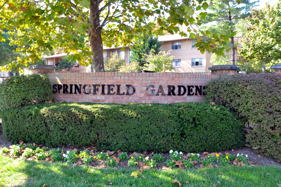Springfield Gardens Image 9