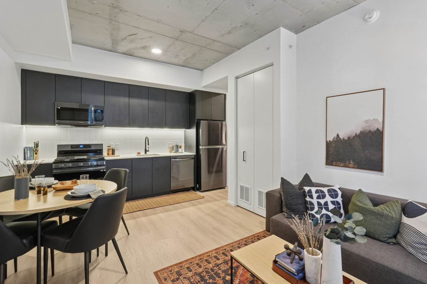 Velaris Living Image 16