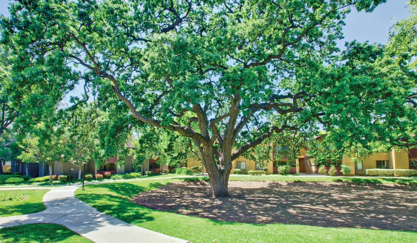 Indian Oaks Apartments Image 25