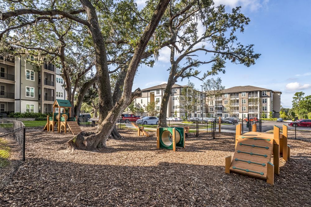 Canopy at Citrus Park Image 40