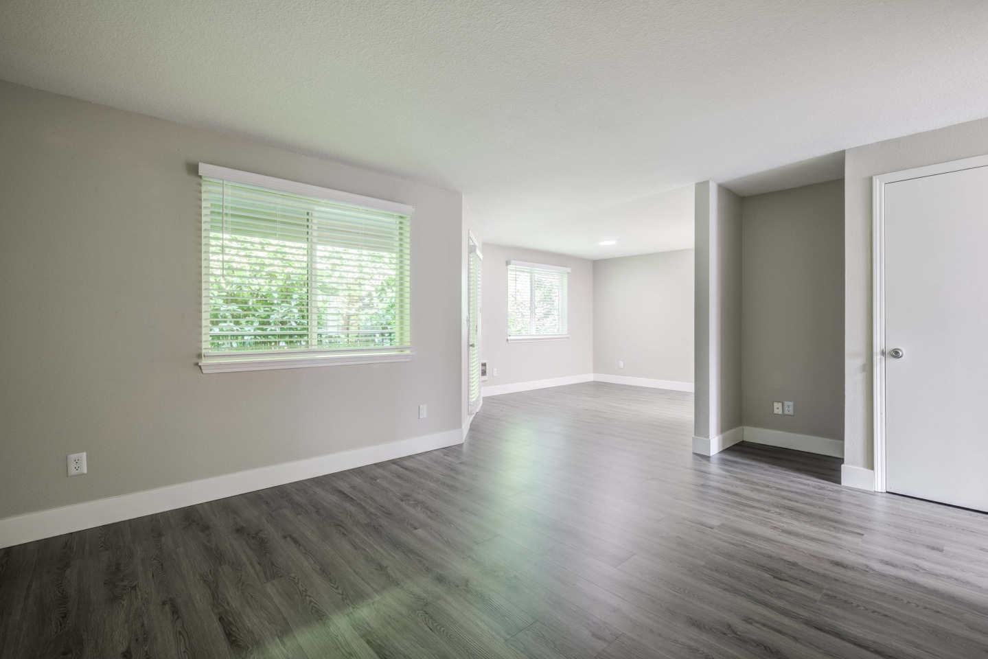 Avana Evergreen Image 50