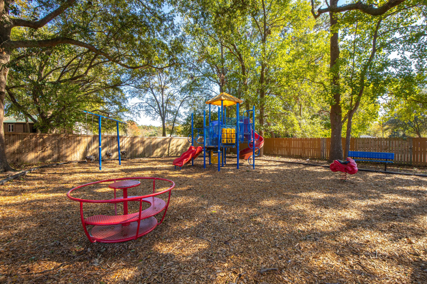 Palmetto Grove Image 11