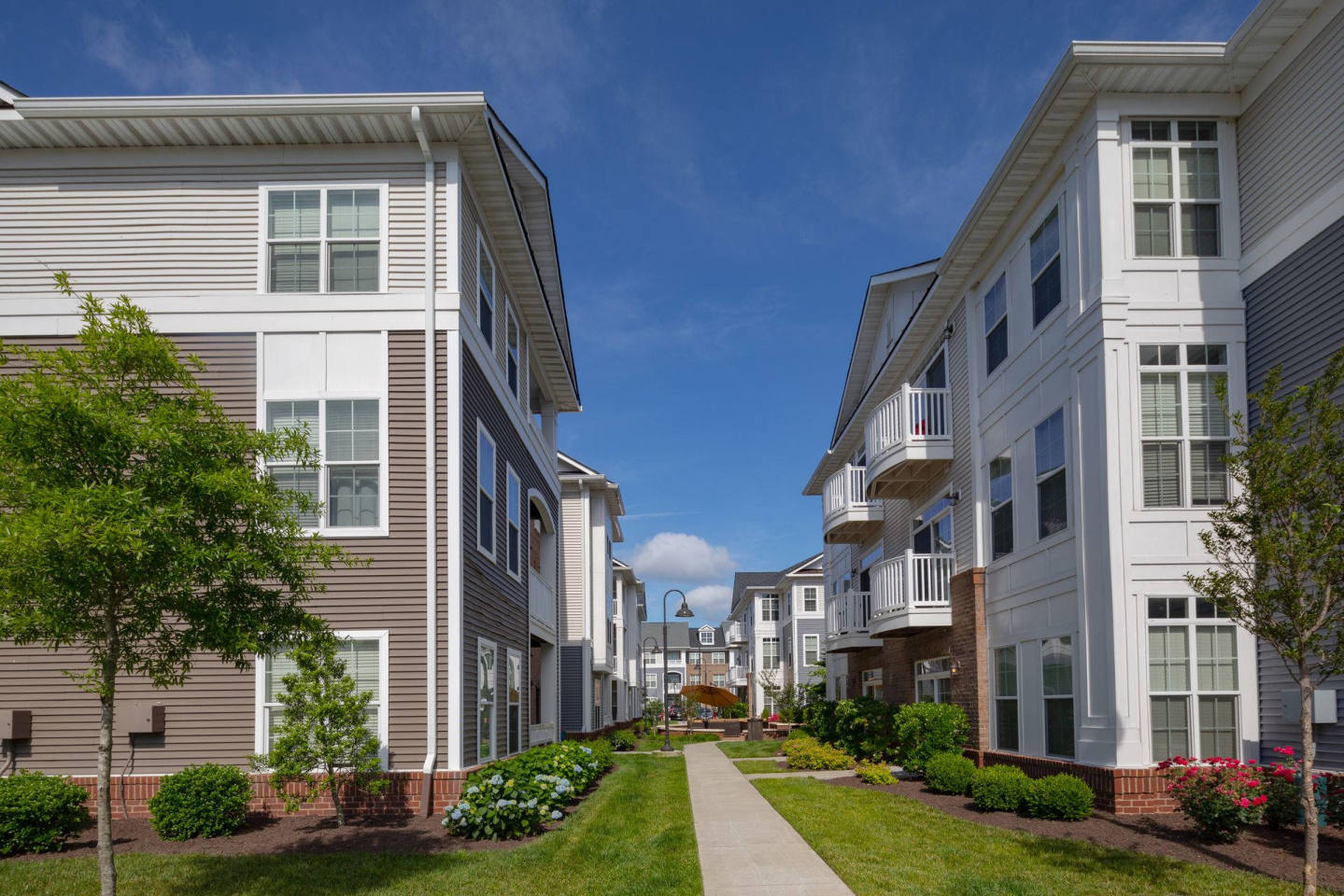 Cambria at Cornerstone Apartments Image 10