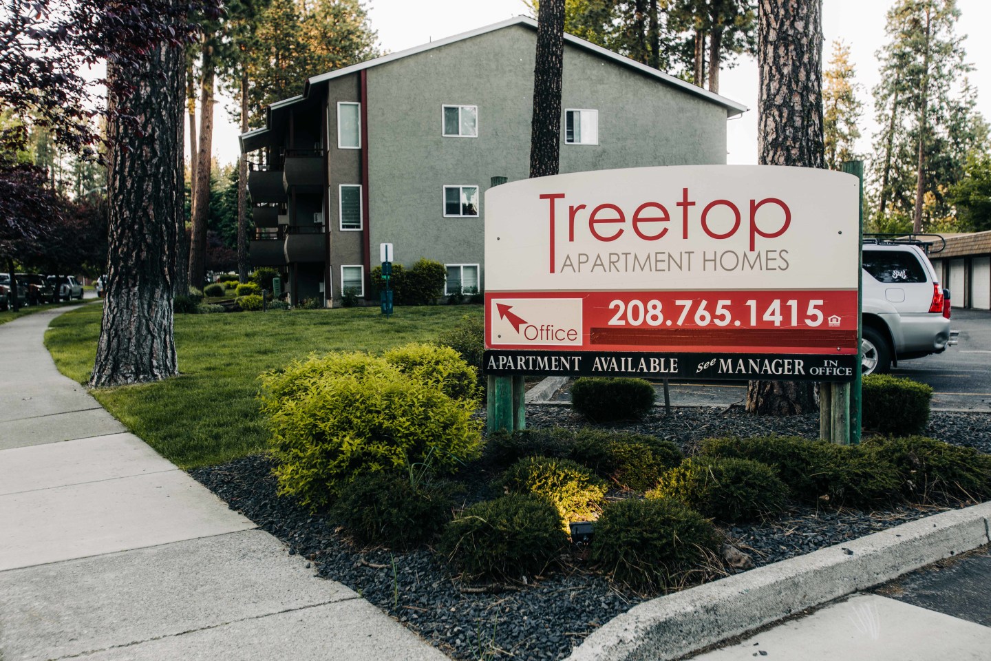 Treetop Image 2