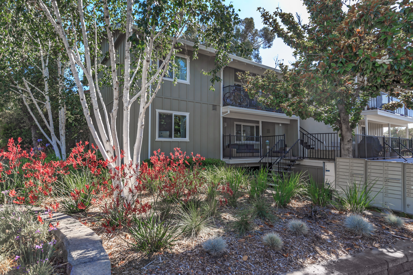 Los Gatos Heights Image 10