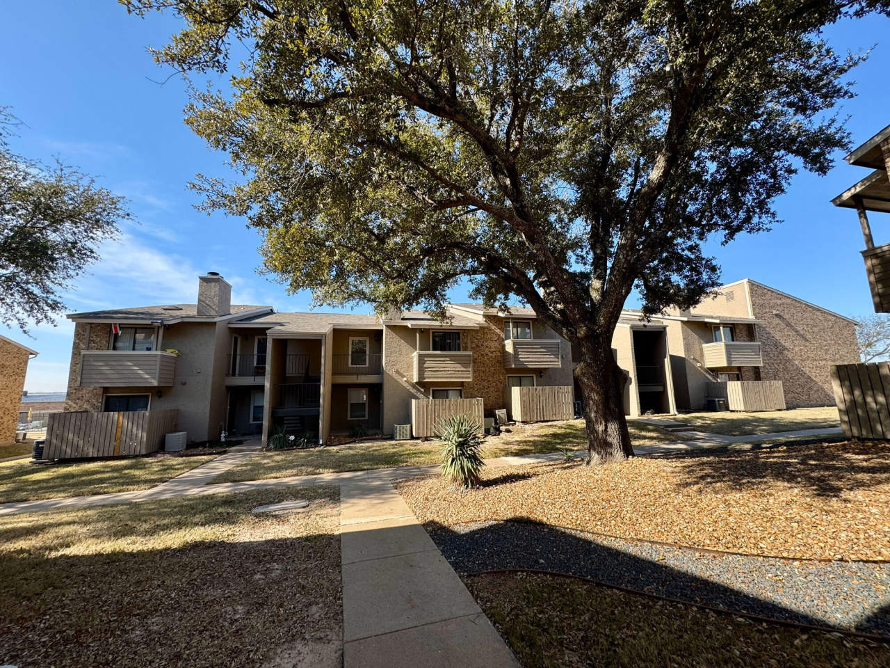 Living Oaks Image 7