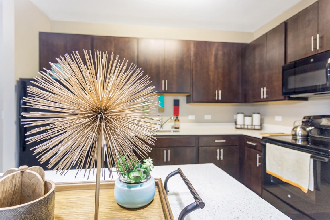 AMP Luxury Apartments Image 7