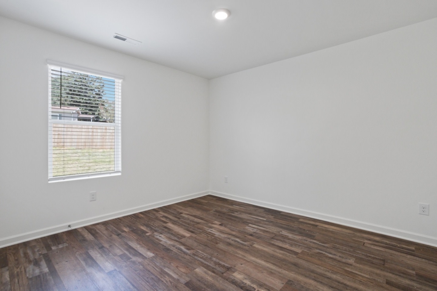 Oak Tree Image 19