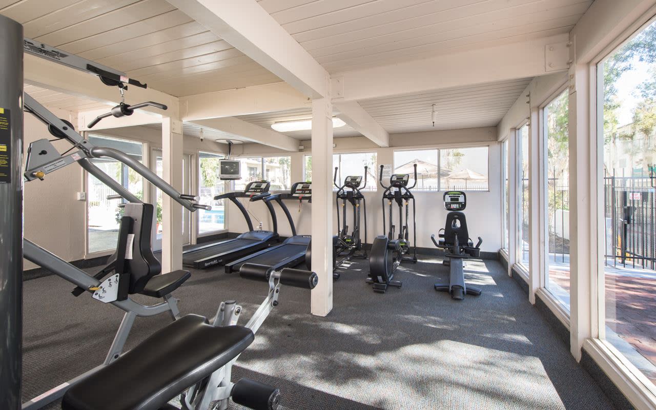 Tarzana Springs Image 8