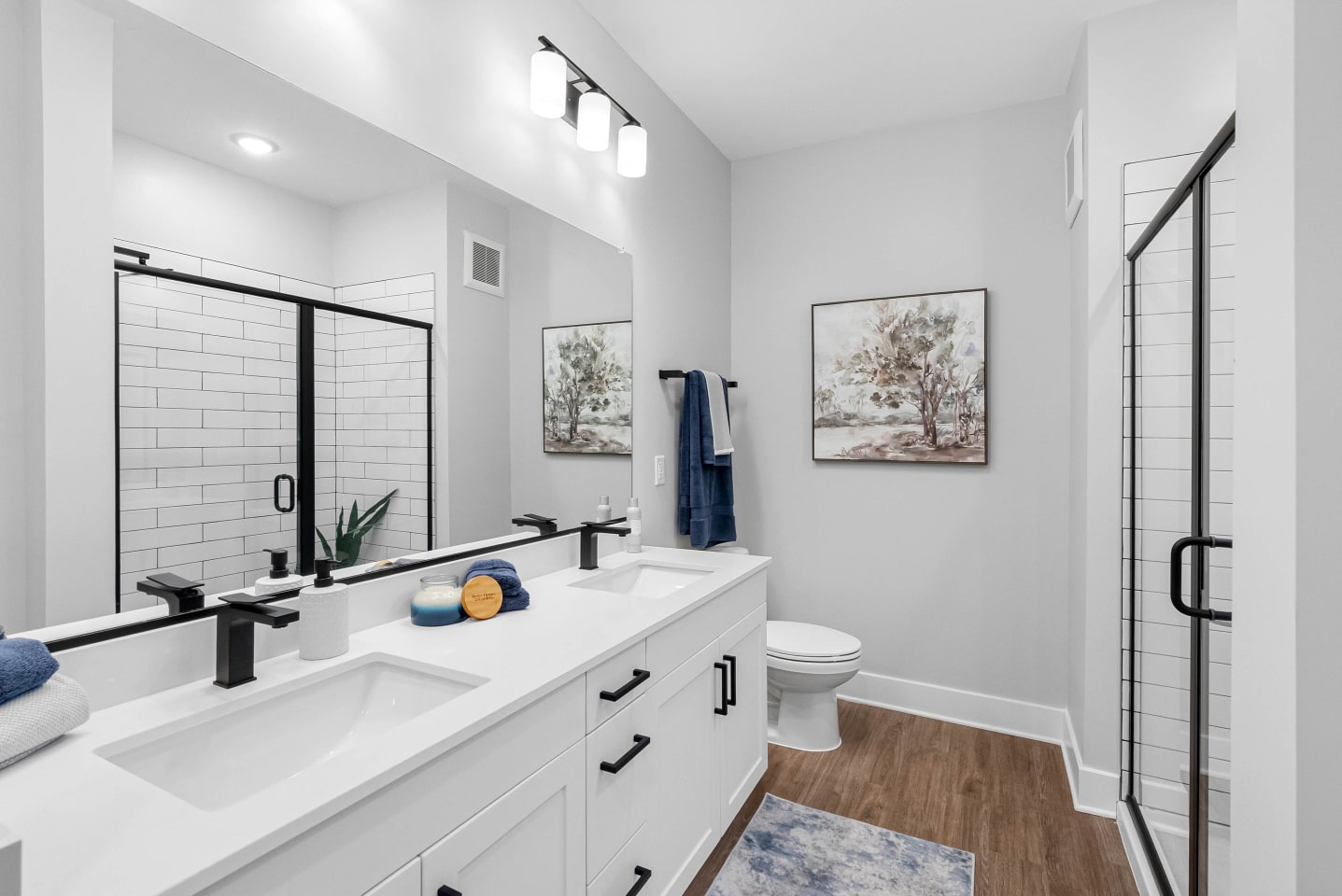 The James at Springline Image 12