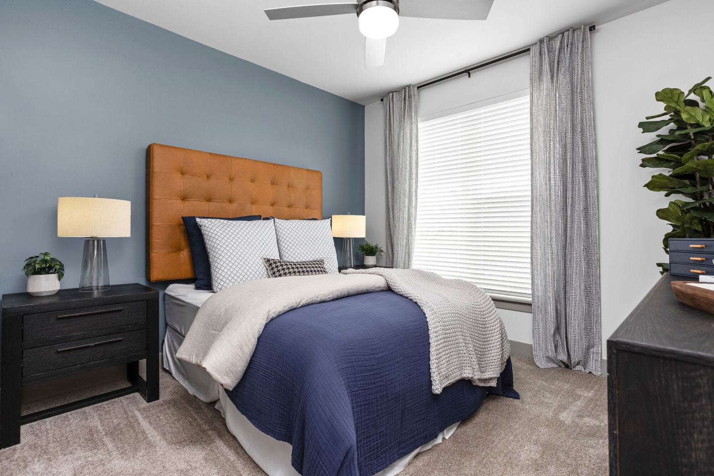 The Steadman Apartments Image 16