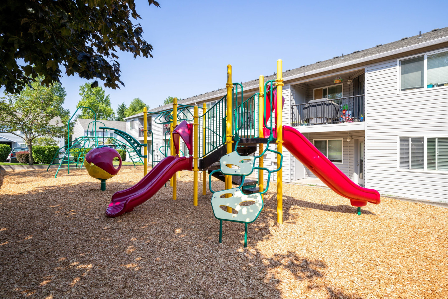 Avana Evergreen Image 17