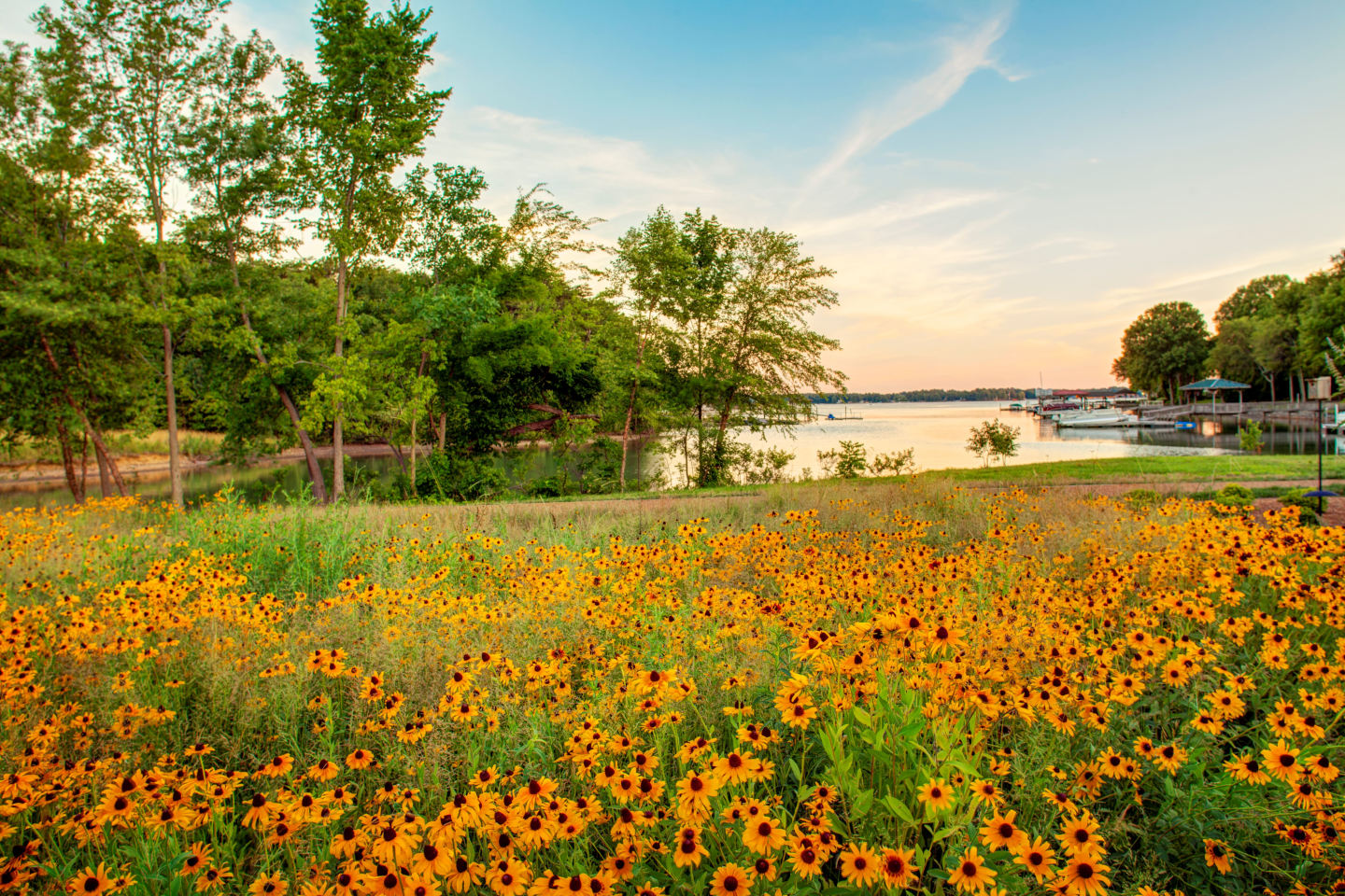 Langtree Lake Norman Image 14