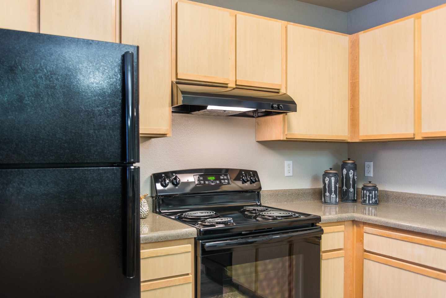 PeakView at T-Bone Ranch Apartments Image 7