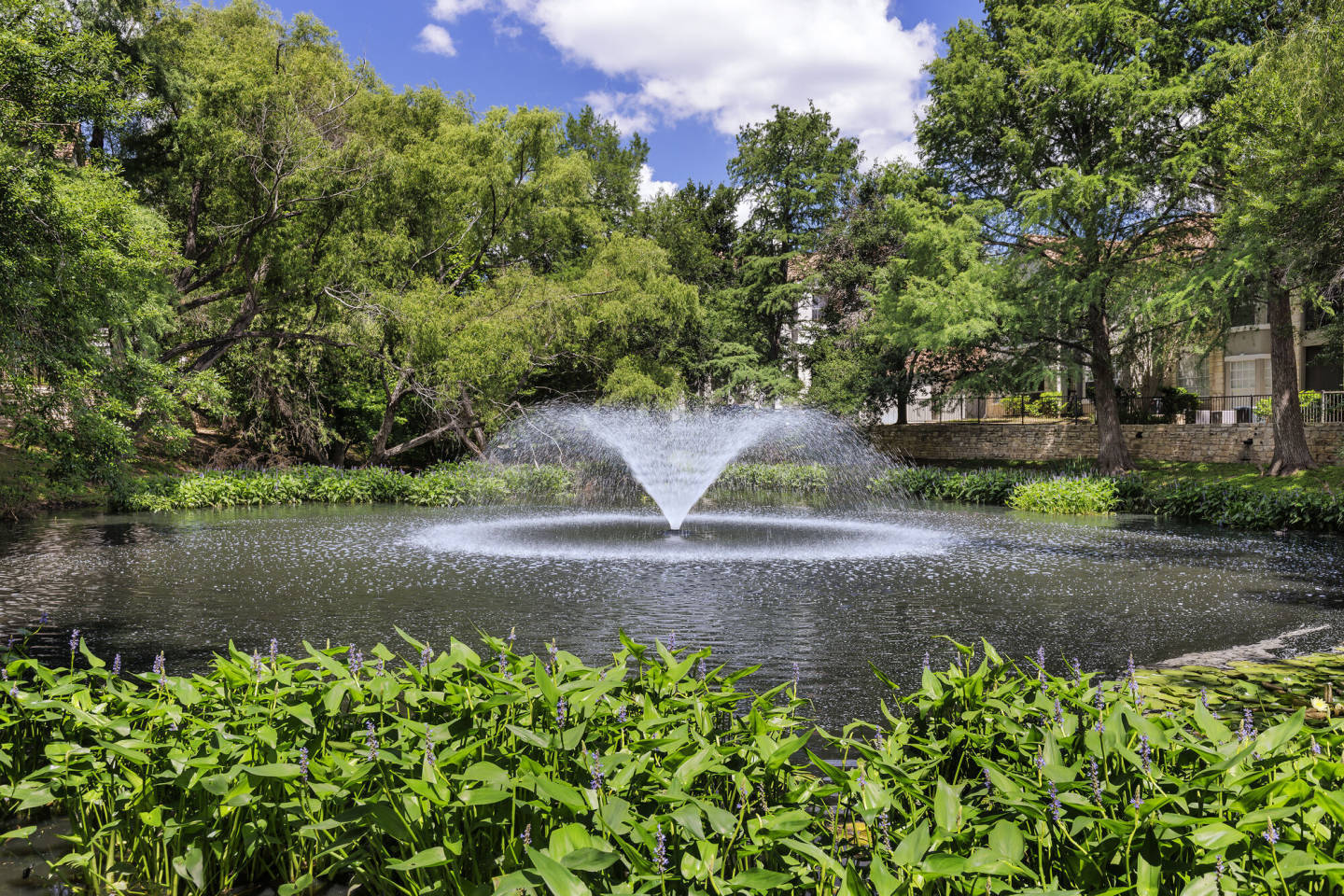 The Boulevard At Town Lake Image 40