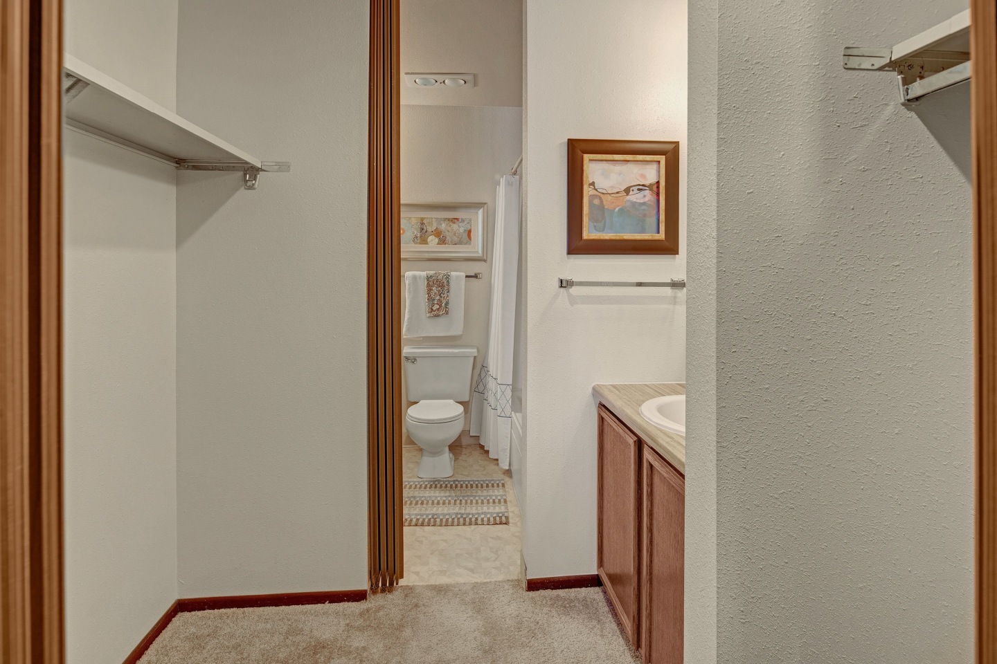 Alpine Apartments Image 4