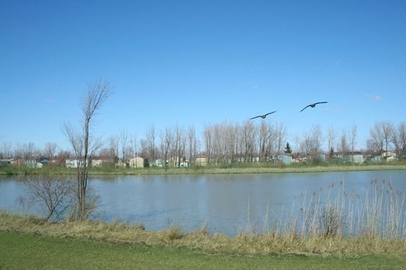 Deer Lakes Apartments Image 18