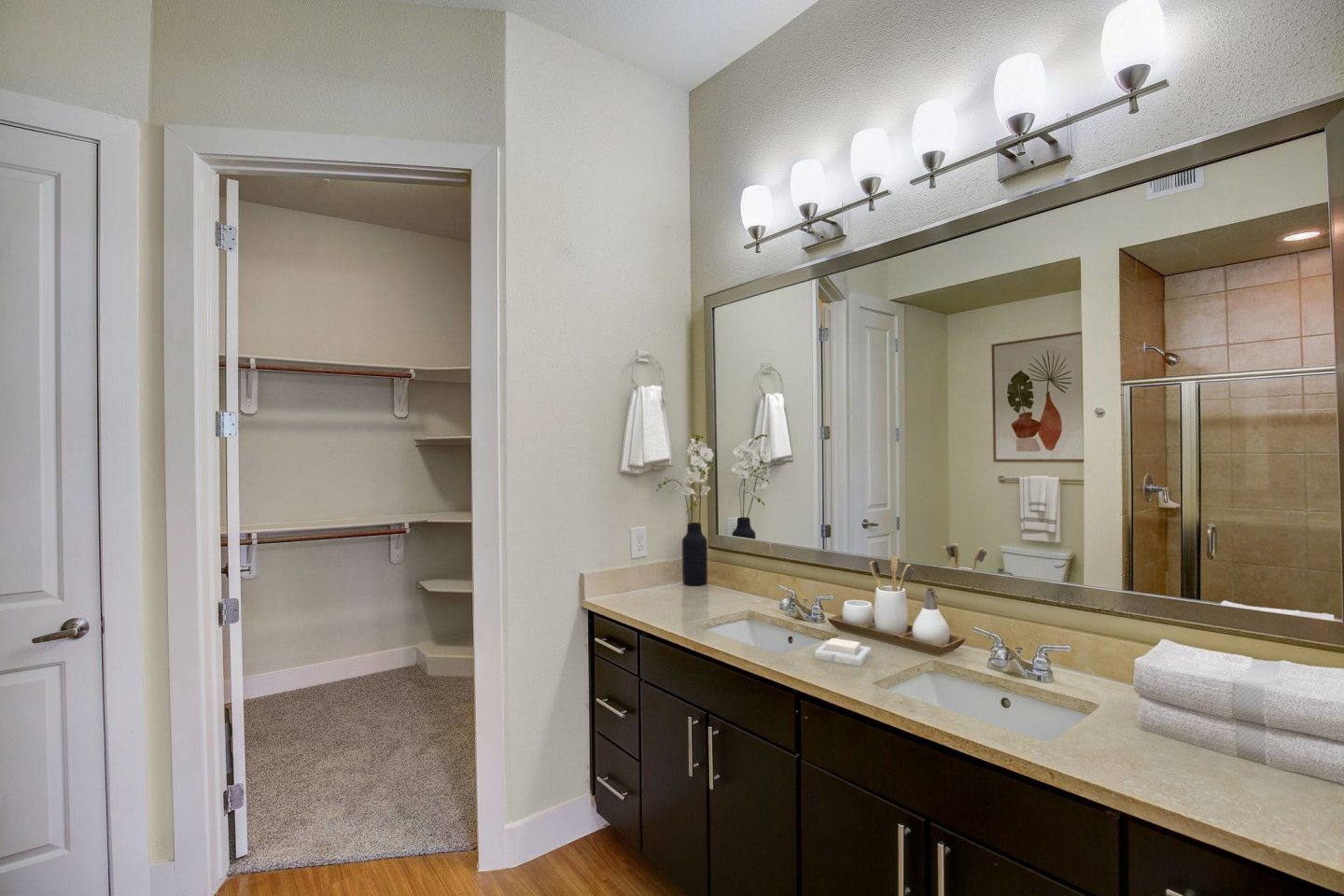 The Belvedere at Springwoods Village Image 13