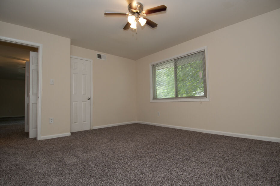 Fox Rest Image 62