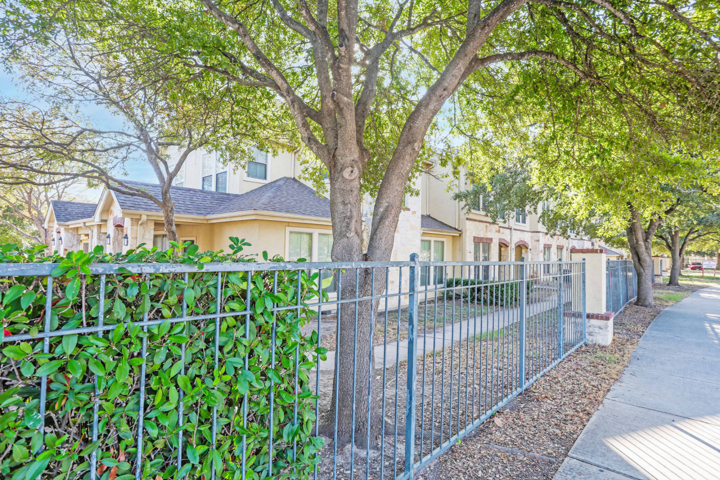 The Meadows at Bentley Drive Image 11