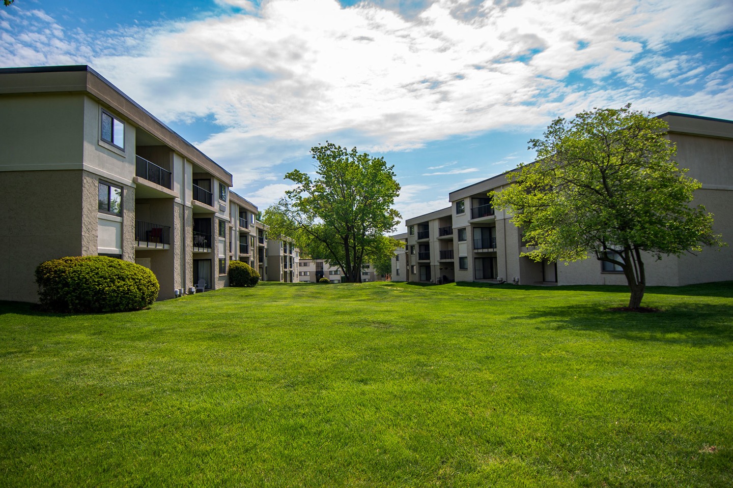 Ashley Apartments Image 46